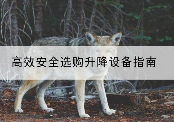 永德升降货梯厂家推荐-*安全选购升降设备指南