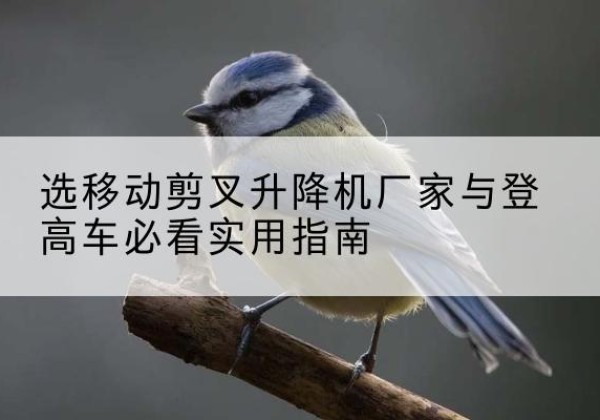 永德电动升降机厂家-选移动剪叉升降机厂家与登高车必看实用指南
