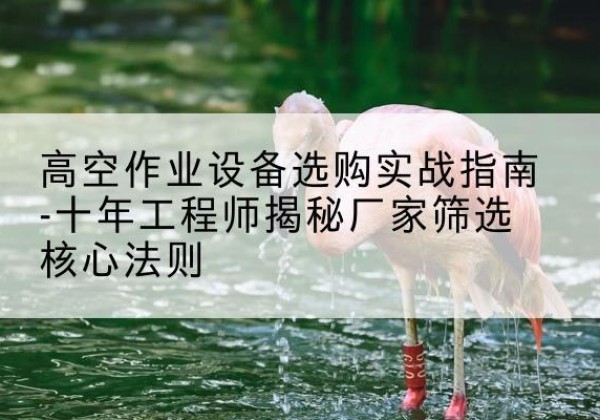 永德剪叉式升降机厂家-高空作业设备选购实战指南-十年工程师揭秘厂家筛选核心法则